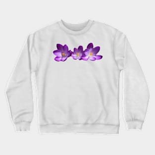 Purple Crocus Trio Crewneck Sweatshirt